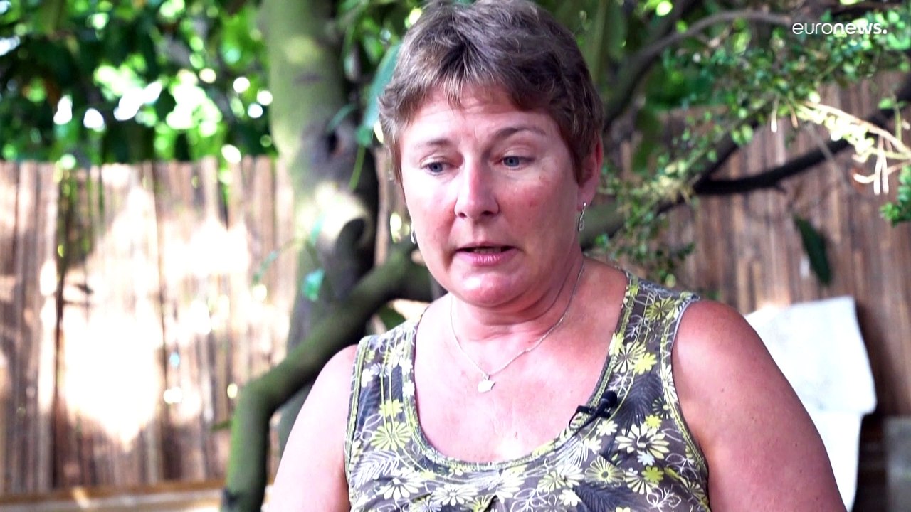 Klimawandel: Der Igel ist 'der Eisbär in unseren Gärten'