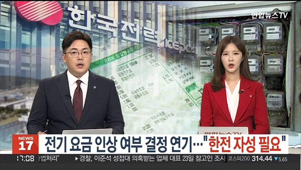전기 요금 인상 여부 결정 연기…"한전 자성 필요"