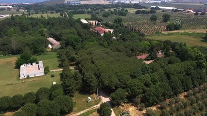 TSK'nın "cesur keşif köpekleri" Bursa'da yetiştiriliyor