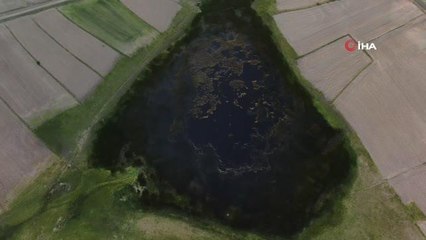 Sülük hırsızları ile başları dertte, bölgenin korunmasını istiyorlar