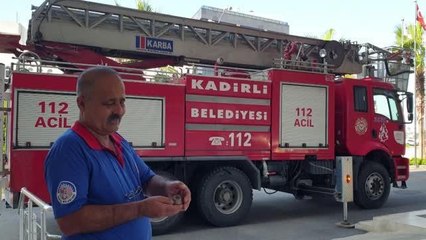 Kadirli'de yuvasından düşen serçe yavrusu tekrar yuvasına konuldu