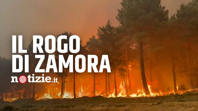 Spagna, le incredibili immagini dell’enorme rogo di Zamora: è il più esteso degli ultimi 10 anni