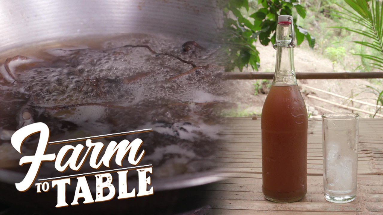 Farm To Table: How to make root beer at home