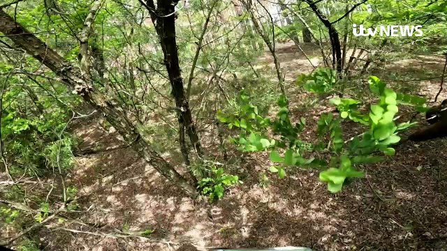 Ill-equipped bomb squads resume landmine clear-up in Ukraine