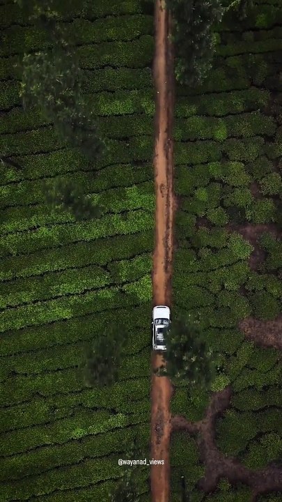 Beauty of Kerala | God's own country