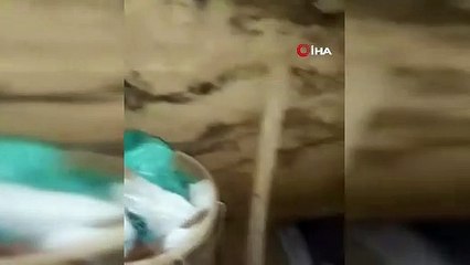 Define avcıları 2 bin 700 yıllık tarihi gün yüzüne çıkardı