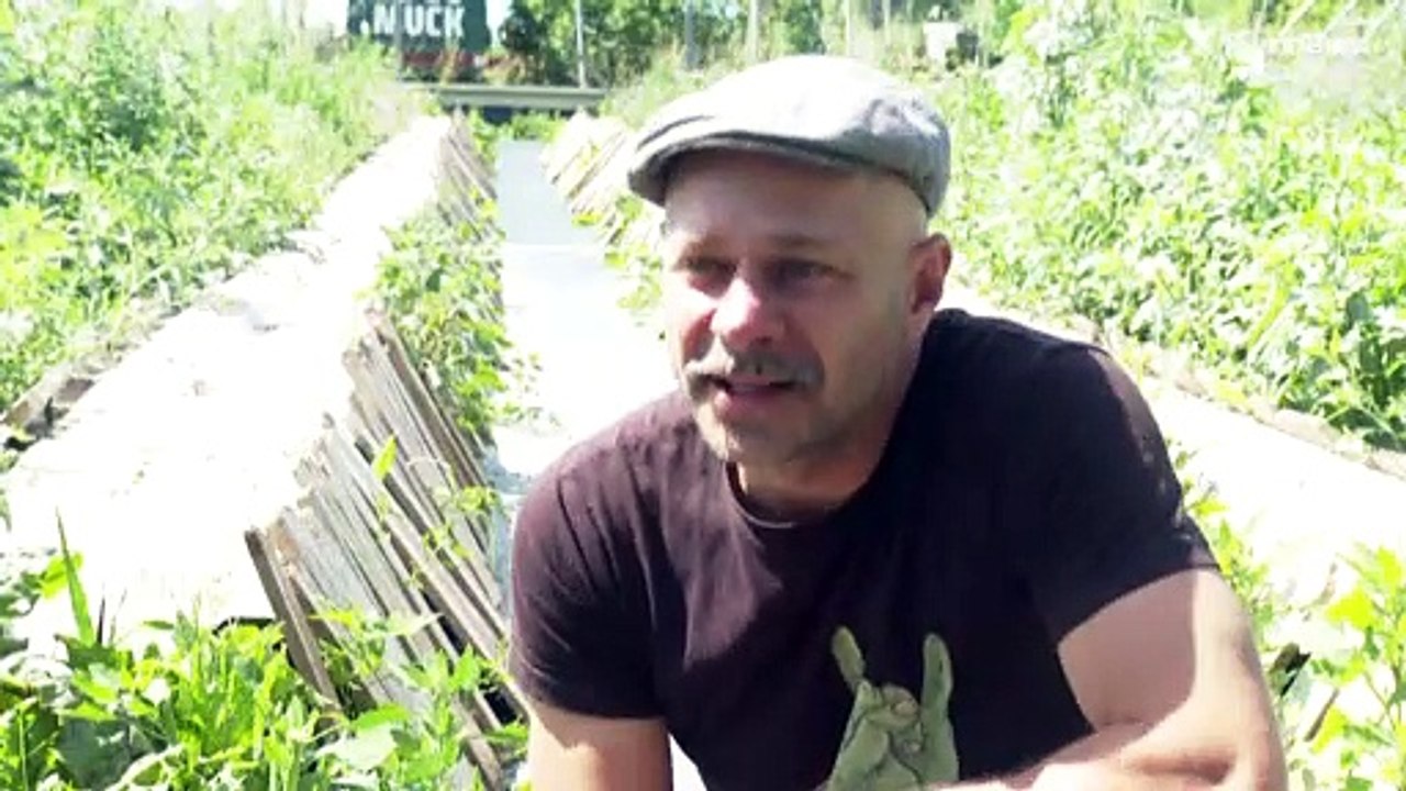 Zukunftstaugliche Delikatesse: Weinbergschnecken aus Wien