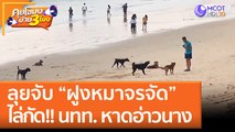 ลุยจับ “ฝูงหมาจรจัด”  ไล่กัด!! นทท. หาดอ่าวนาง (20 มิ.ย. 65) คุยโขมงบ่าย 3 โมง