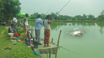 fish hunting amazing catching the big rohu fish  sirial rohu fishing videos