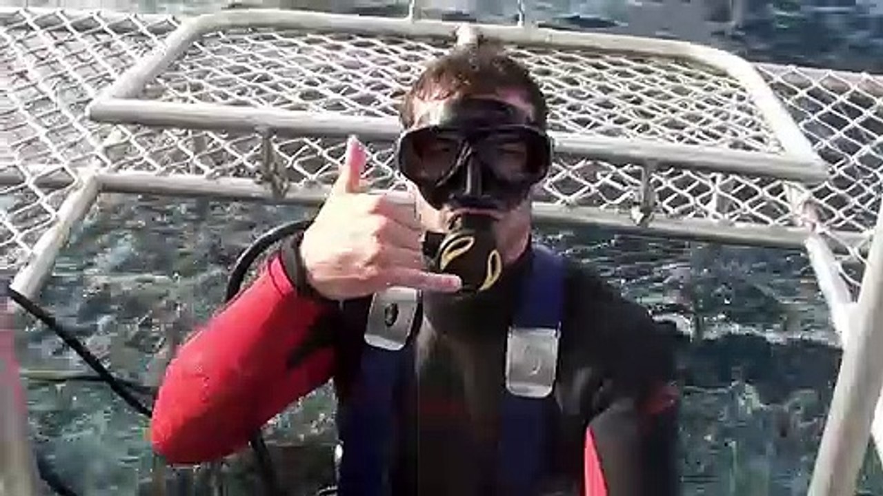 Open Water 3 : les abîmes de la terreur - 22 juin