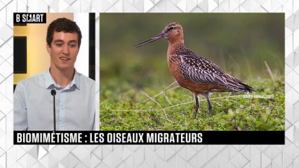 SMART TECH - Le rendez-vous du lundi 20 juin 2022