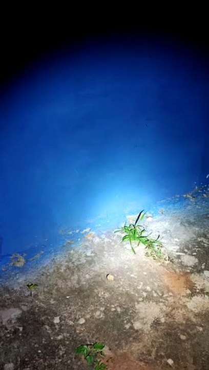 Torcedores tentam invadir vestiário para agredir jogadores, em Cianorte