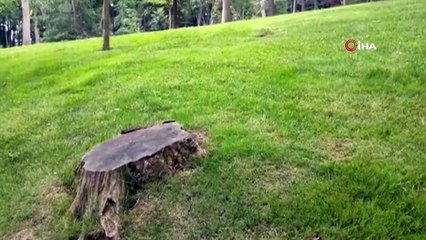 Gezi Parkı diye ortalığı kasıp kavuran CHP'nin kokuşmuş zihniyetine bürünenler... İmamoğlu İstanbul'un nefesini tek tek neşterliyor