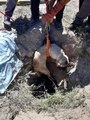 Aksaray'da 4 metrelik kuyuya düşen köpeği AFAD kurtardı