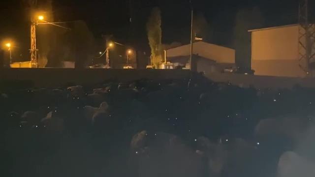 Ardahanlı Köylü, Iğdır'dan Getirilen Koyunların Tarlasına Bırakılmasına Tepki Gösterdi: El Vicdan, El İnsaf. Yapmayın, Etmeyin, Peşkeş Çekmeyin...