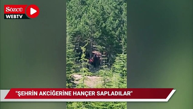 Eskişehir'de ağaç katliamı