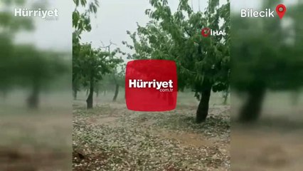 Скачать видео: Fındık büyüklüğünde yağan dolu meyve ağaçlarına zarar verdi