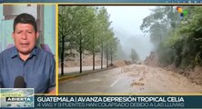 Tormenta tropical Celia afecta a la nación de Guatemala