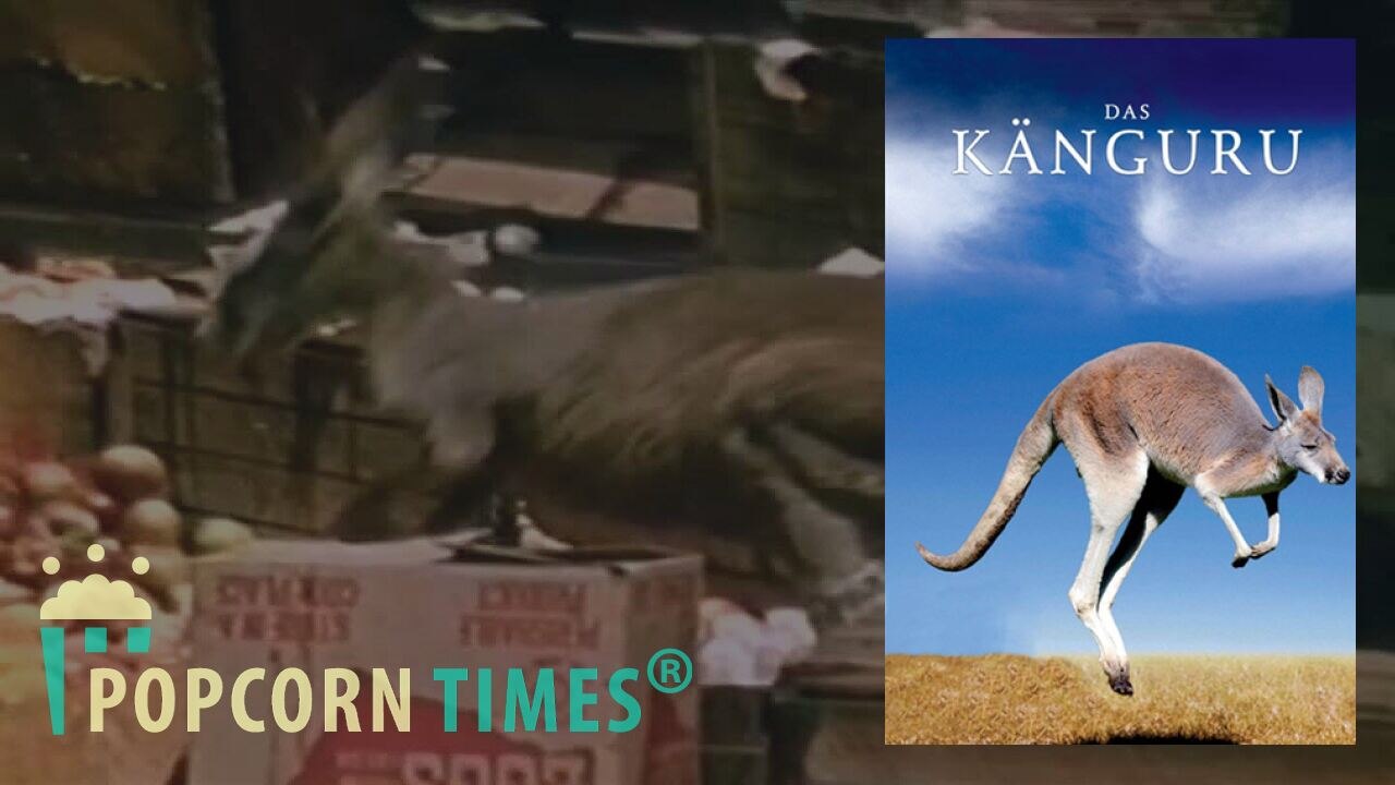 Das Känguru | Ganzer Film auf Deutsch (Full Movie, Stream)