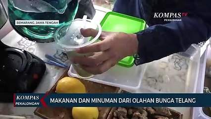 Makanan dan Minuman dari Olahan Bunga Telang