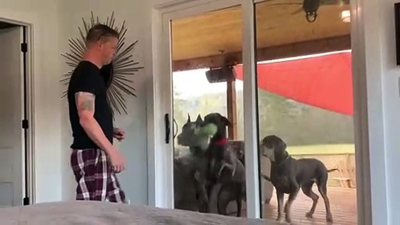 Let the Beasts In