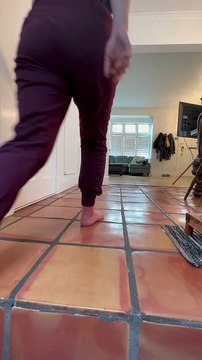 Good Boy Retrieves Toilet Paper For Owner