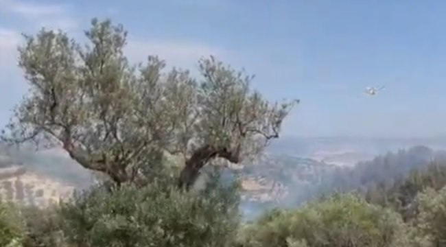 Calabria - Incendi nel Crotonese, decine di interventi dei Vigili del Fuoco (20.06.22)