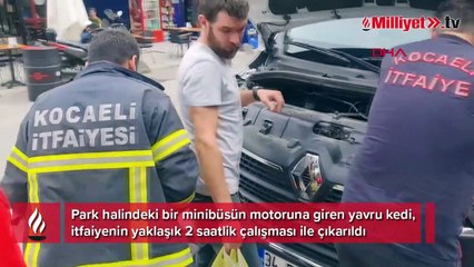 Minibüsün motoruna giren yavru kedi 2 saatlik çalışma ile çıkarıldı