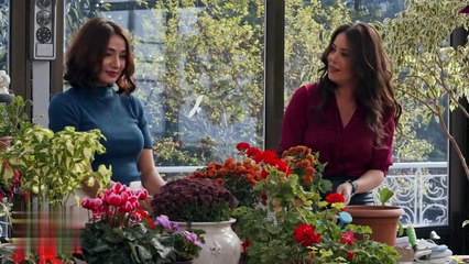 مسلسل bry8 alaml بريق الامل الحلقة 10