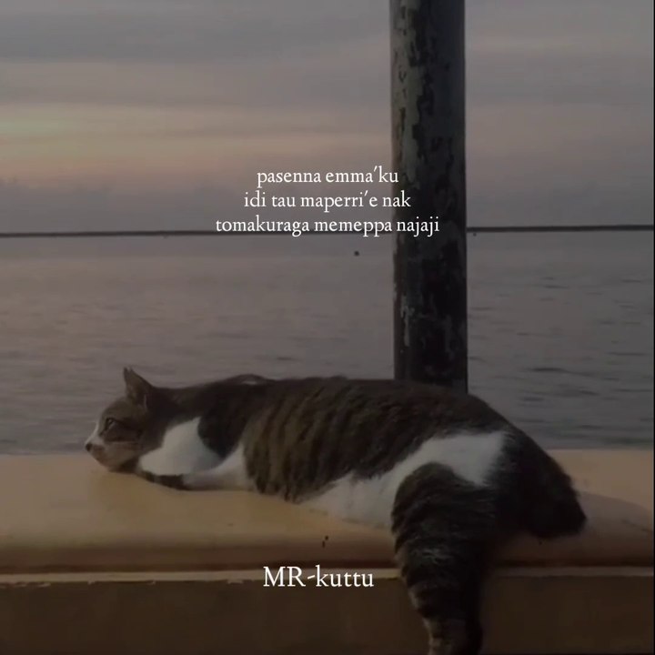 Story wa kata kata bijak