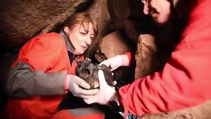 Descubren un conjunto funerario en las cuevas de La Garma