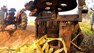 Rural Life Daily Routine Work Making Jaggery