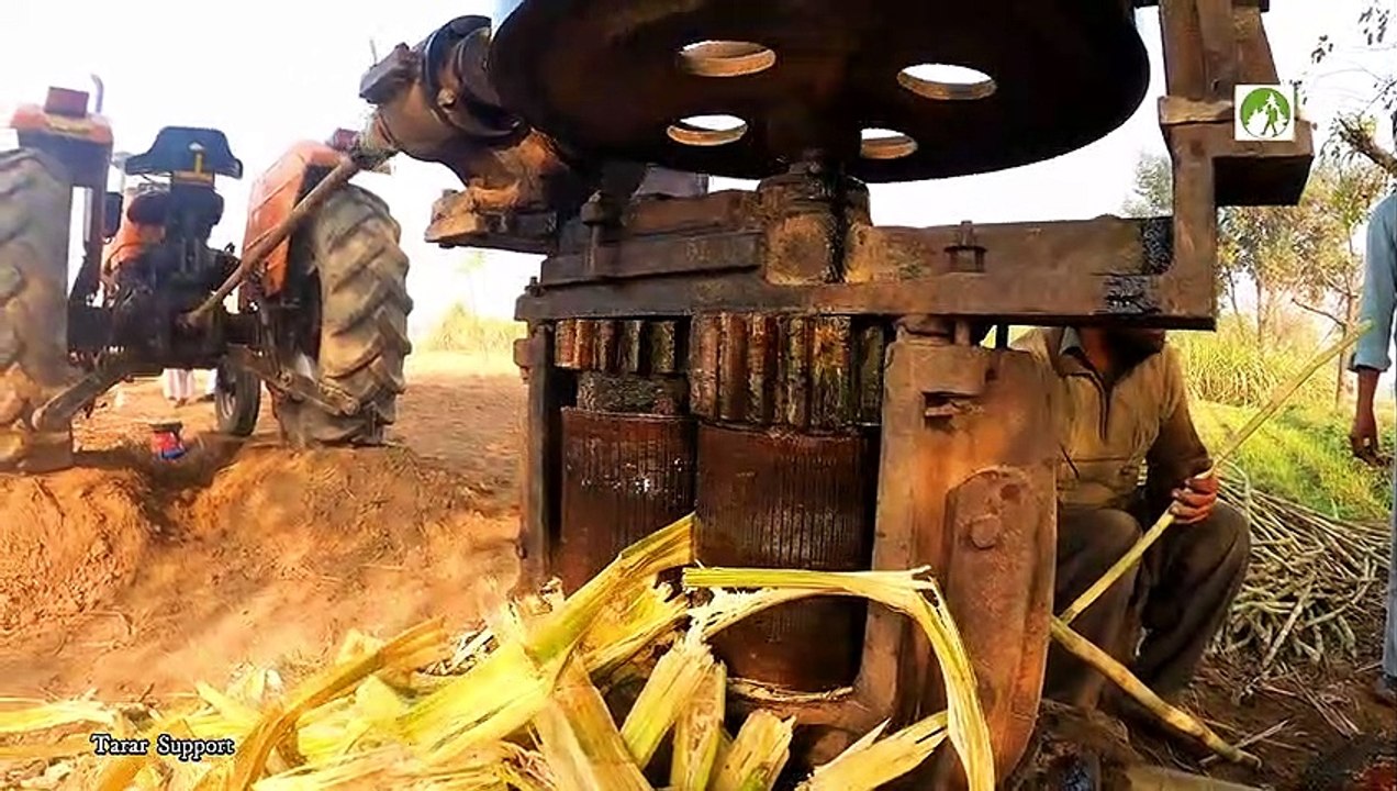 Rural Life Daily Routine Work Making Jaggery