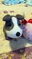 Harvest Moon Stuffed Animal Collection