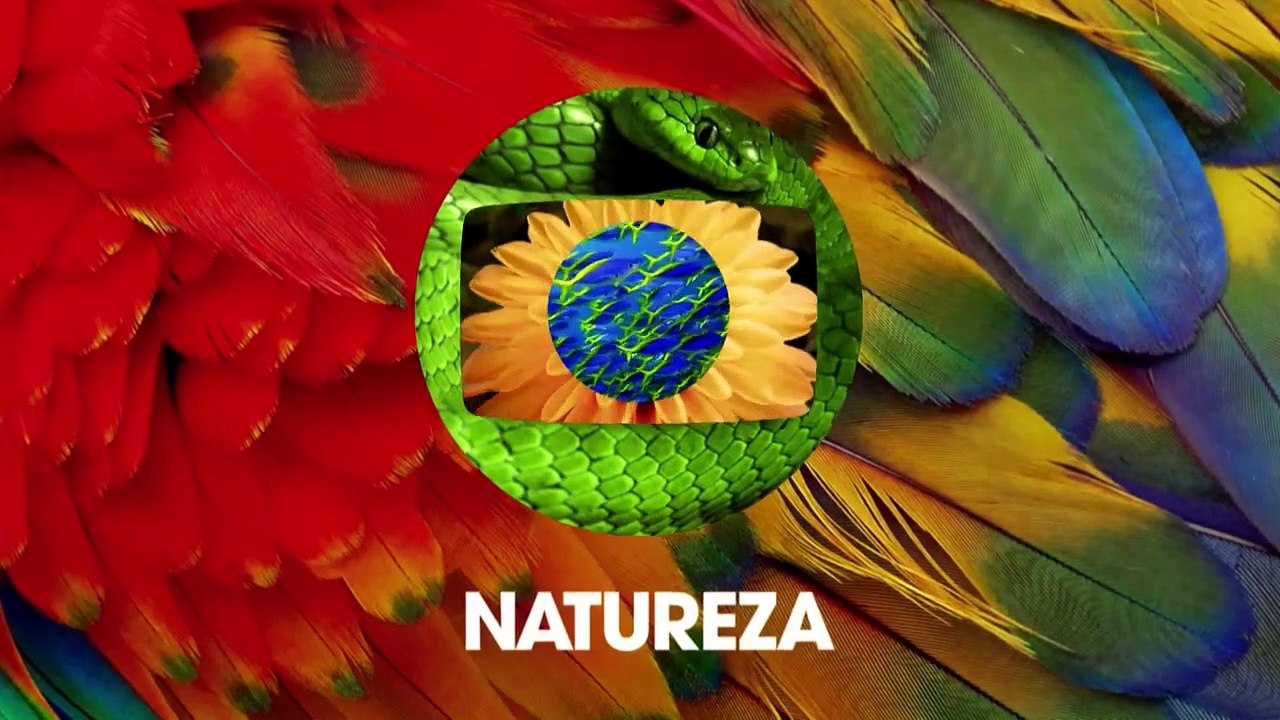 Globo Natureza