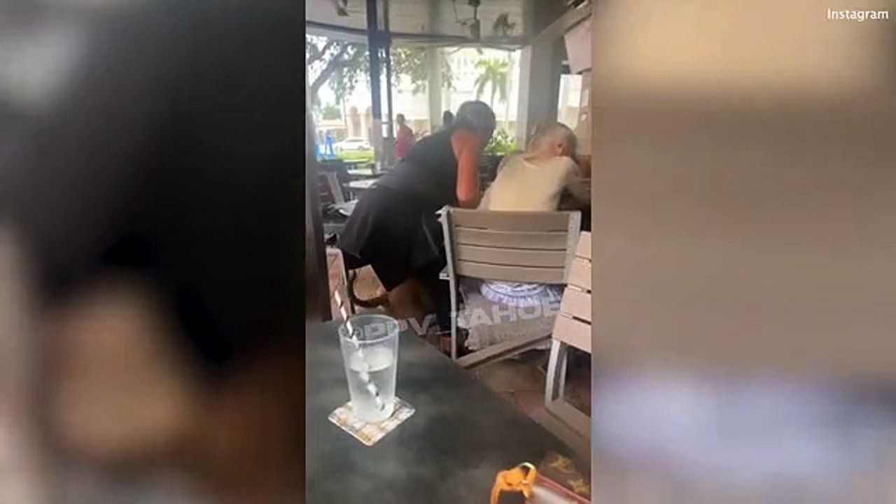 pitbull attacks small dog in stroller at restaurant