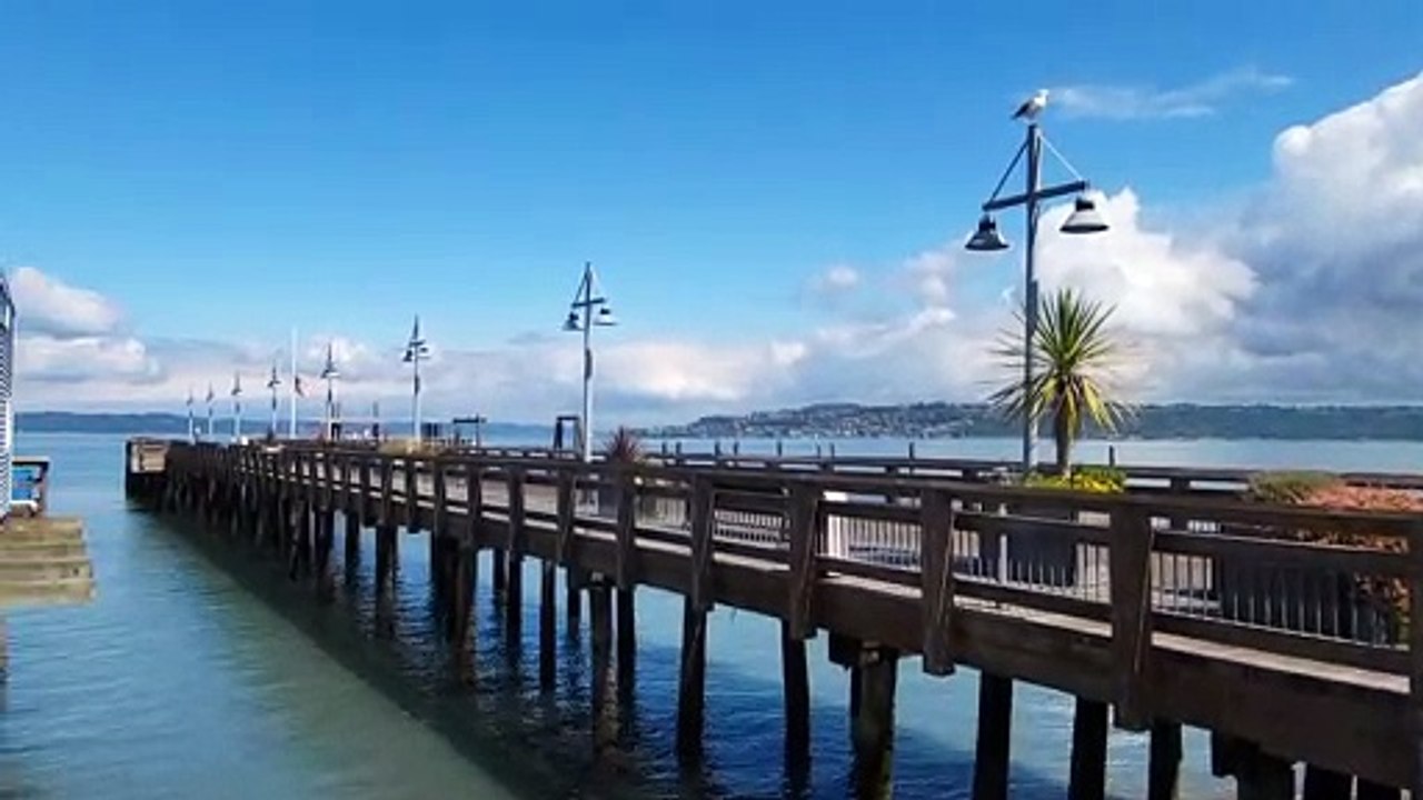 yababa trailer