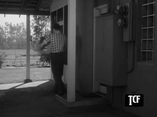 Highway Patrol E062 in Hired Killer