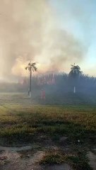 Reportan un incendio en pastizales del ingreso al aeropuerto Viru Viru