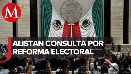 Morena va por consulta nacional sobre reforma electoral en julio
