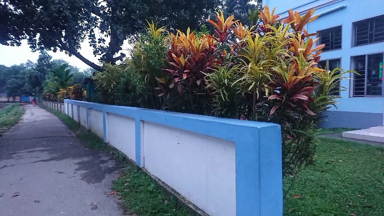 কিং শাহ্পুর উওর পাড়া জামে মসজিদ পর্ব ০৫ পরিচালনা কিং শাহ্পুর টিবি প্লিজ লাইক কমেন্ট শেয়ার এন্ড এন্ড সাপোর্ট প্লিজ সাবস্ক্রাইব মাই চ্যালেন | পরিচালনা কিং সাহাপুর টিভি |