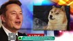 Dogecoin: Elon Musk é processado por suposto esquema de extorsão