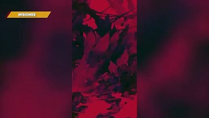 Se viene una nueva edición del Festival Mujeres Tierra Roja