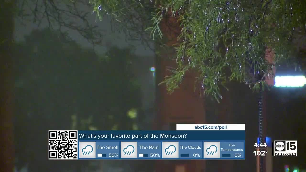 Where does the distinct scent that comes with monsoon storms come from?