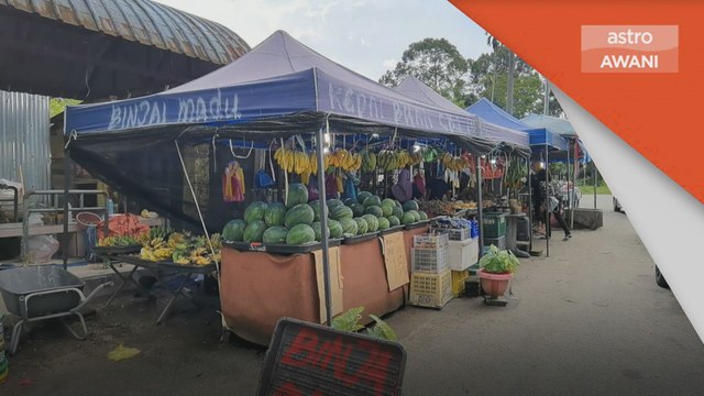 Pemasaran | Pemborong bantu petani pasarkan hasil pertanian