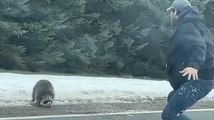 Guy Tries To Chase Raccoon off the Road but Gets Himself Chased off the Road by the Raccoon
