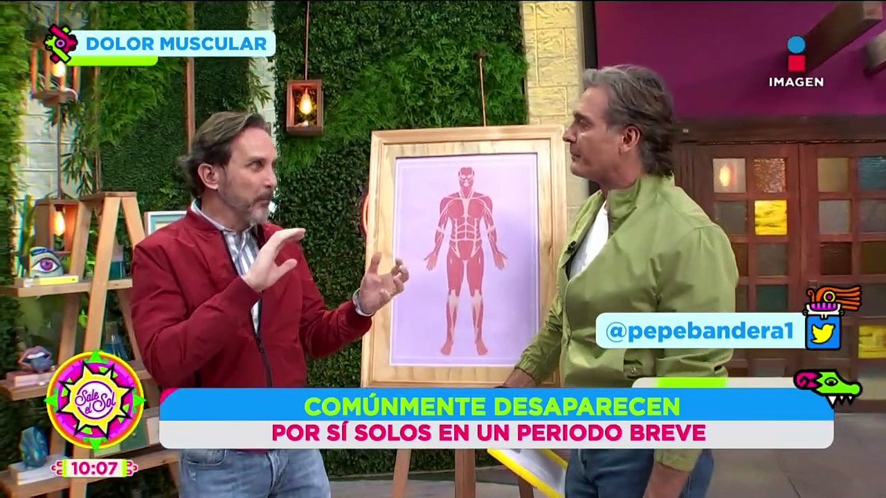 Dolor muscular: Tipos, causas, consecuencias y más