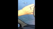 Orages en Gironde: une conductrice filme les grêlons fissurer son pare-brise