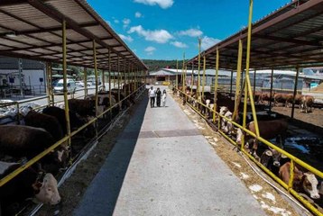 İstanbul'da Kurban Bayramı için çadırlar kuruluyor