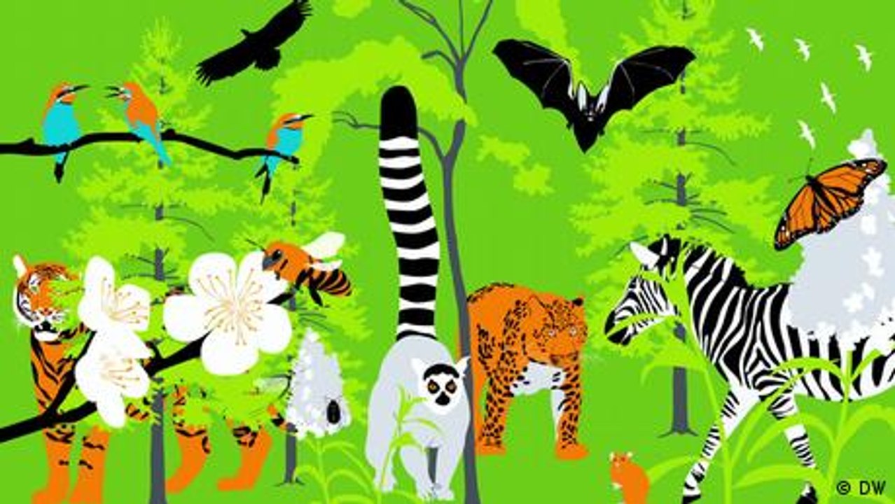 Können wir das Artensterben aufhalten?